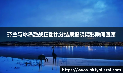 芬兰与冰岛激战正酣比分结果揭晓精彩瞬间回顾